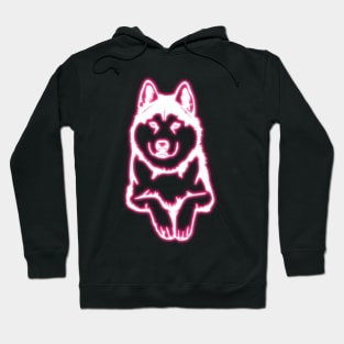 Neon Husky Hoodie